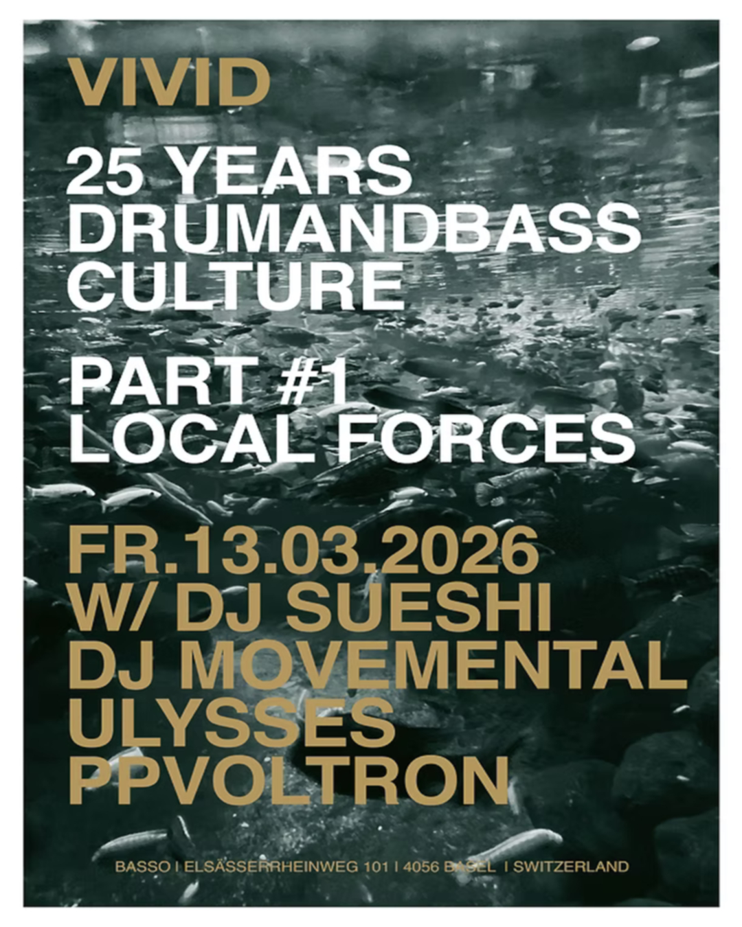 VIVID – 25 YEARS DNB CULTURE