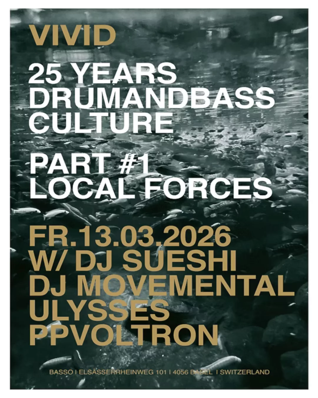 VIVID – 25 YEARS DNB CULTURE